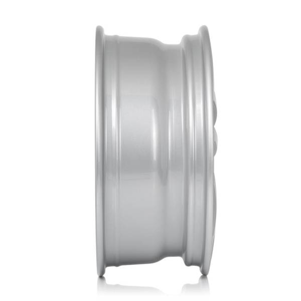 RIAL TRANSPORTER (PS) 6,5 x 16 x 118